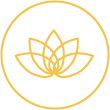 Icon Wellness